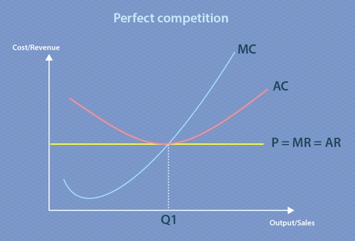 Perfect competition market