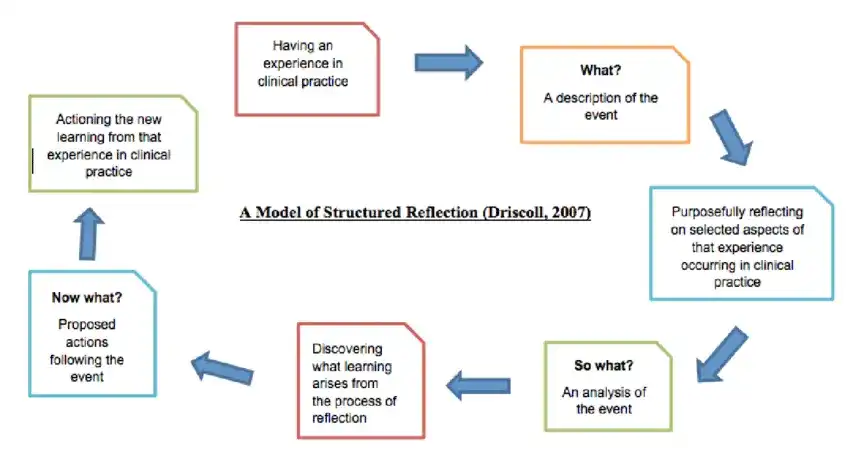 Driscoll's Model of Reflection