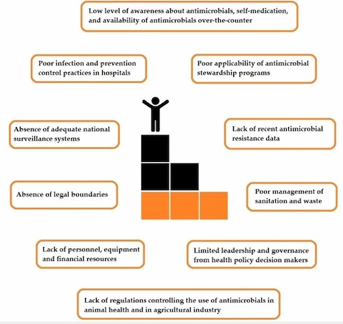 Technical, financial, and regulatory challenges for the development of antimicrobial peptides 