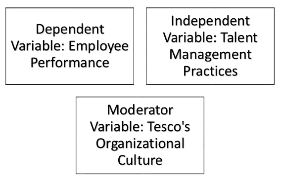 Conceptual model for Talent Management and Employee Performance