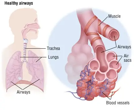 Chronic Obstructive Pulmonary