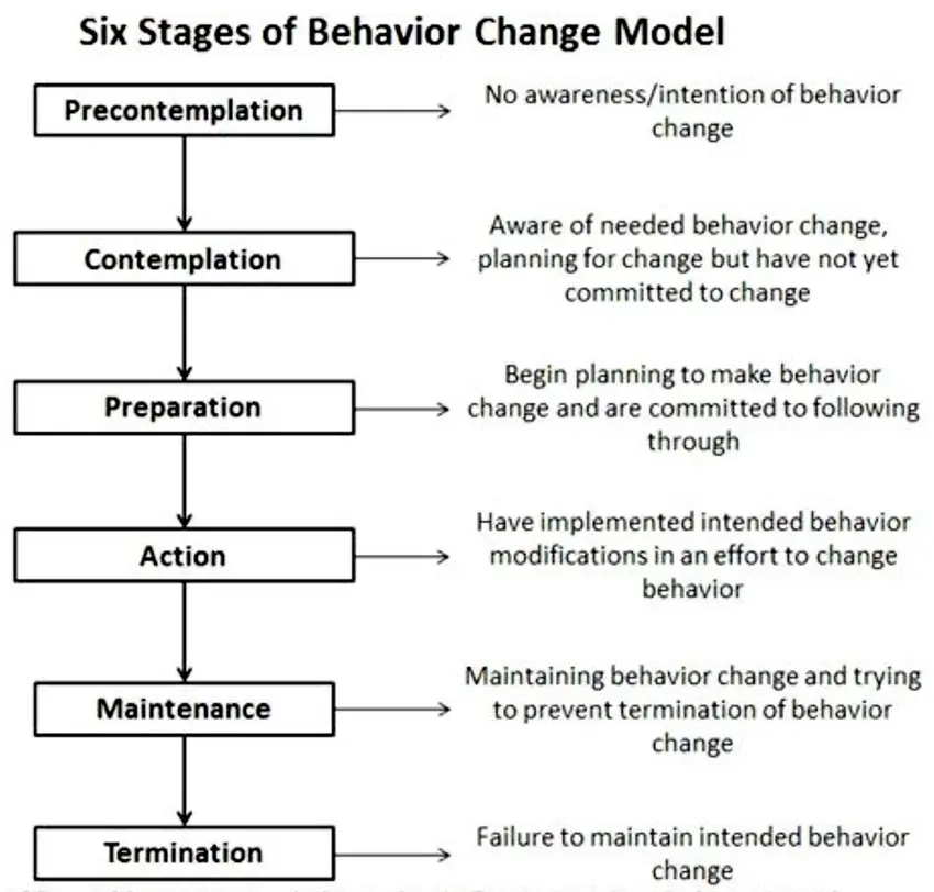 Stages of the model Stages of the model