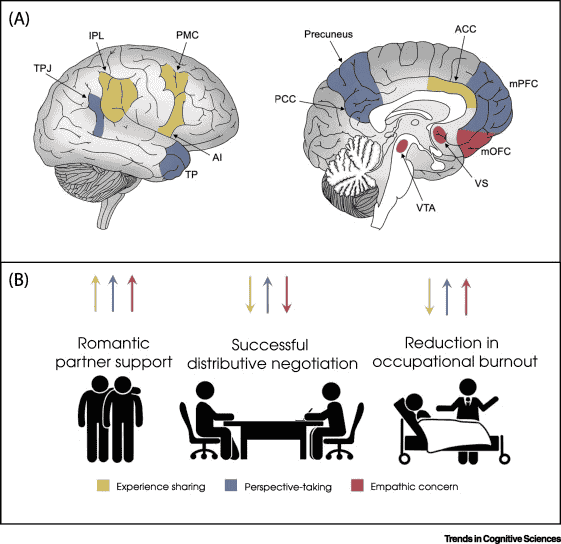 Strategic regulation of empathy