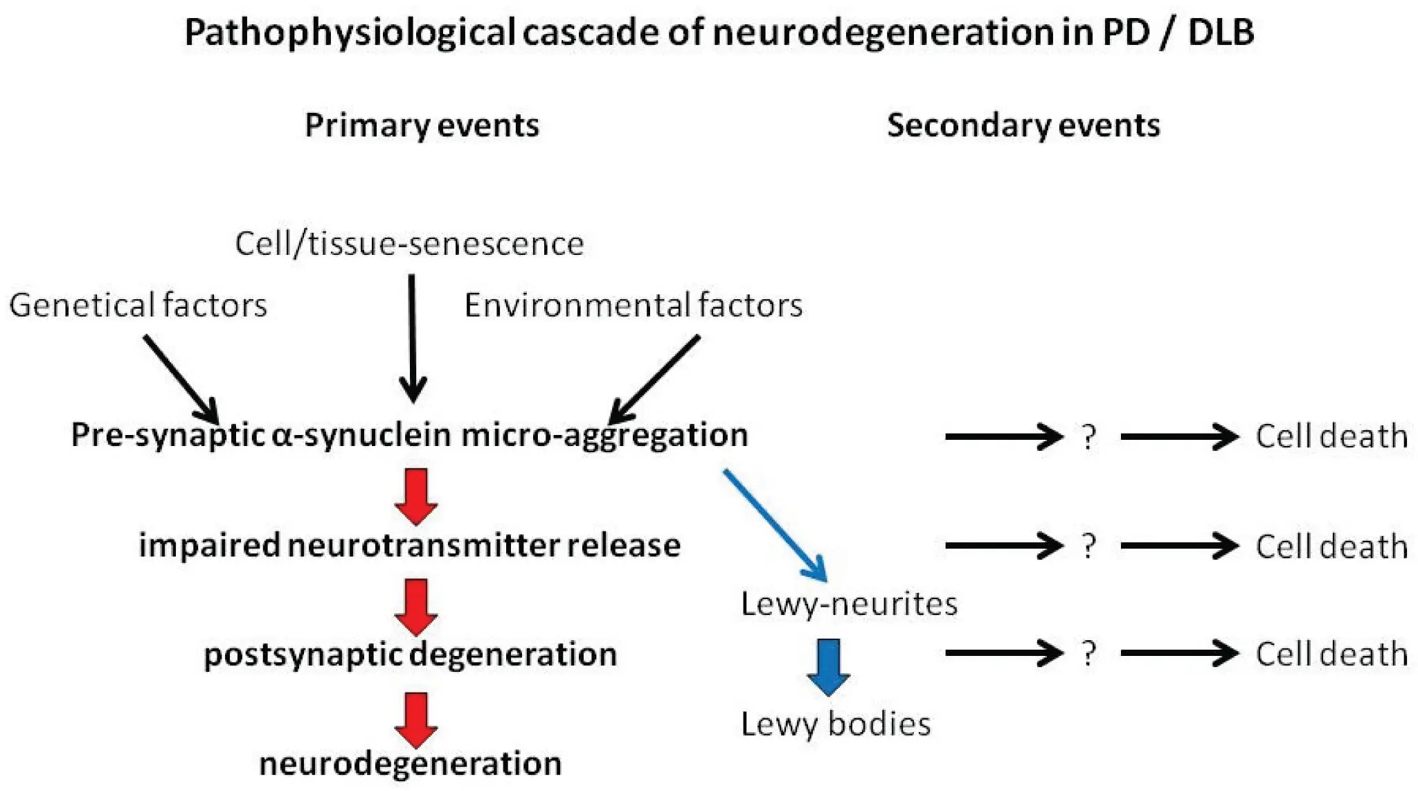 Pathophysiological development for Parkinson's disease Pathophysiological development for Parkinson's disease