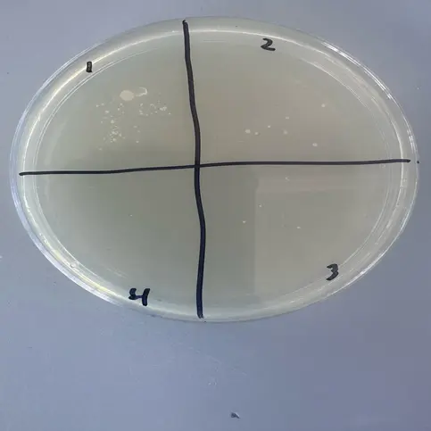 Figure 1: Procedure 1