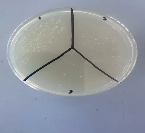 Figure 2: Procedure 2