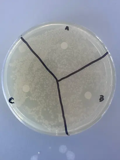 Figure 3: Procedure 3