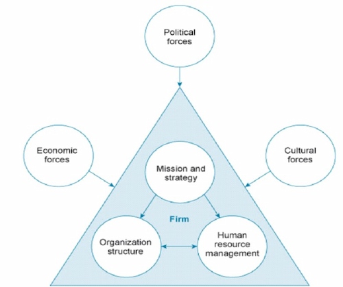 Representation of External and Internal factors via Michigan Model