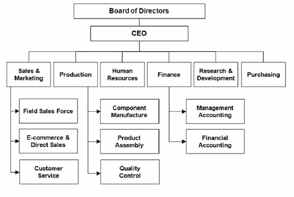 Organizational structure of Starcafe Pvt Ltd