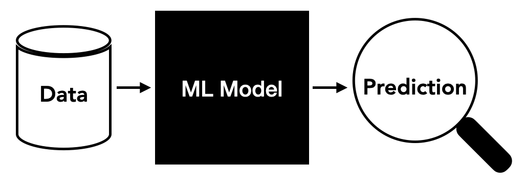 ML Model