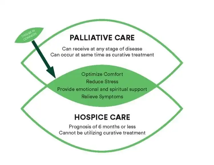 Palliative Care
