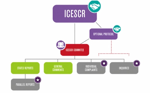 Characterization of ICESCR committee