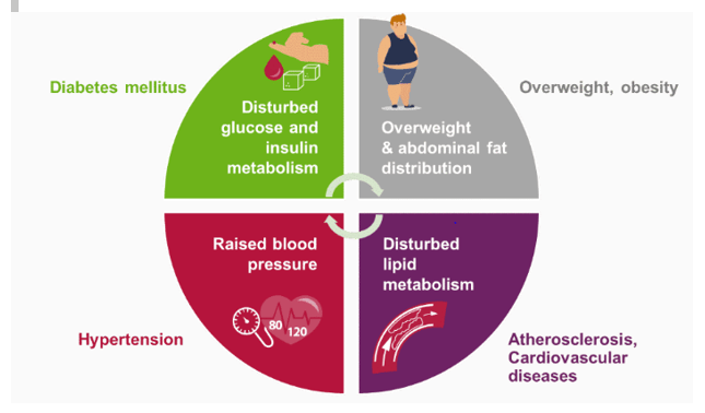 Various risks associated with MetS Various risks associated with MetS