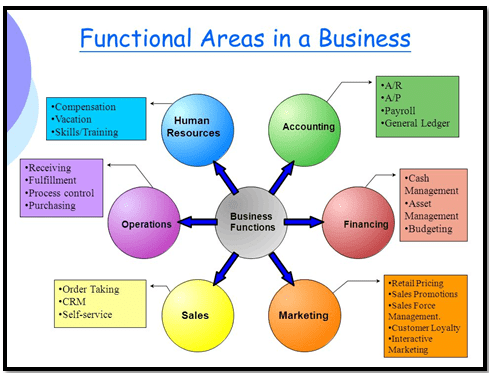 Functional Area of the business Functional Area of the business