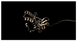 Structure of NLRP3 domains