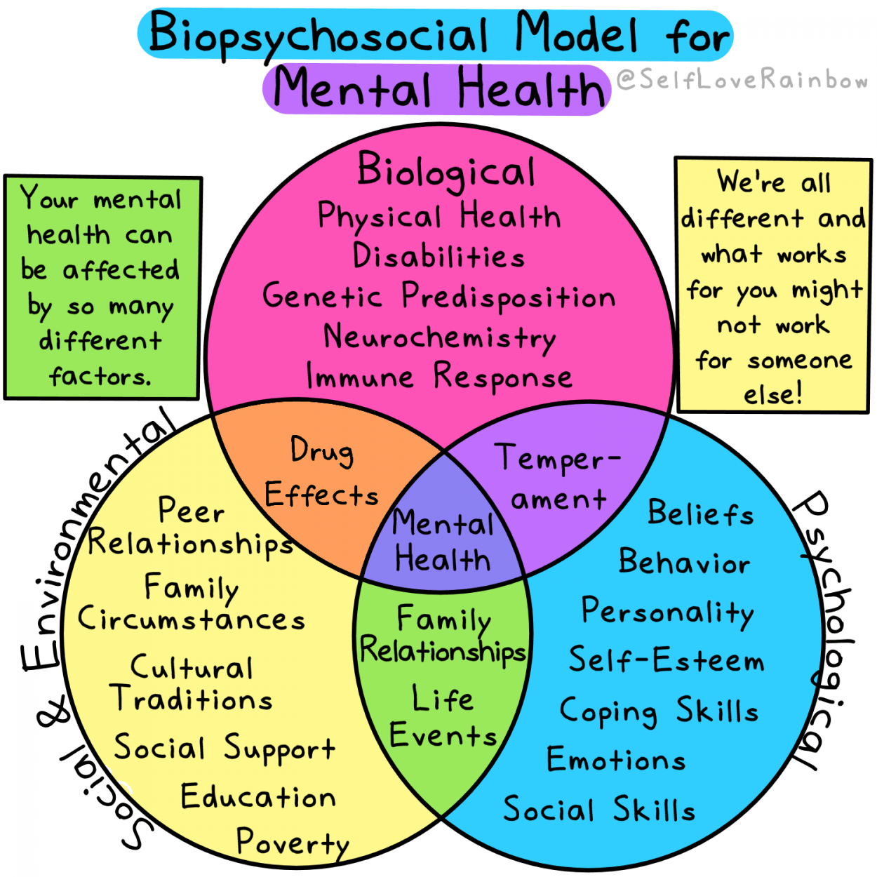 The “Biopsychosocial Model” The “Biopsychosocial Model”